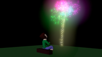Nallely Fireworks