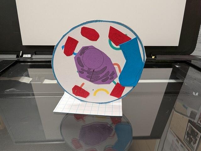 PXL 20250828 160310936