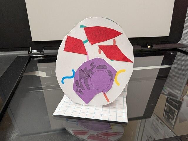 PXL 20250828 160354614