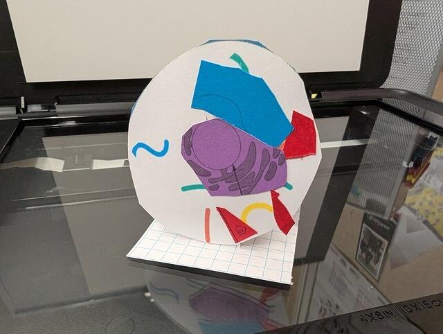 PXL 20250828 160409251