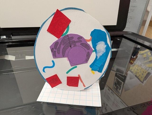 PXL 20250828 160420232