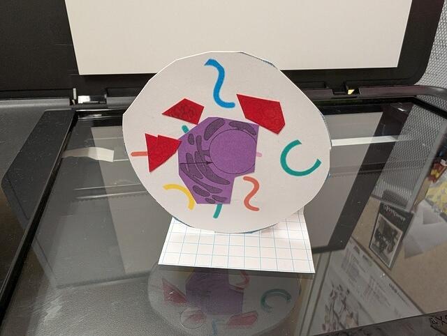 PXL 20250828 160441601