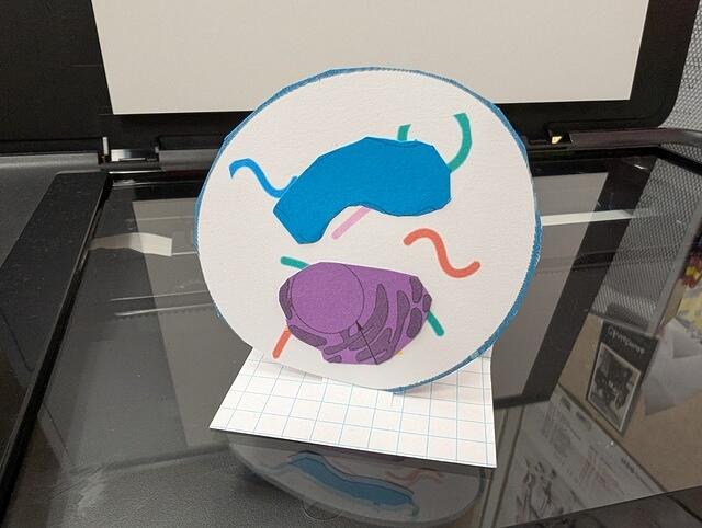 PXL 20250828 160447993