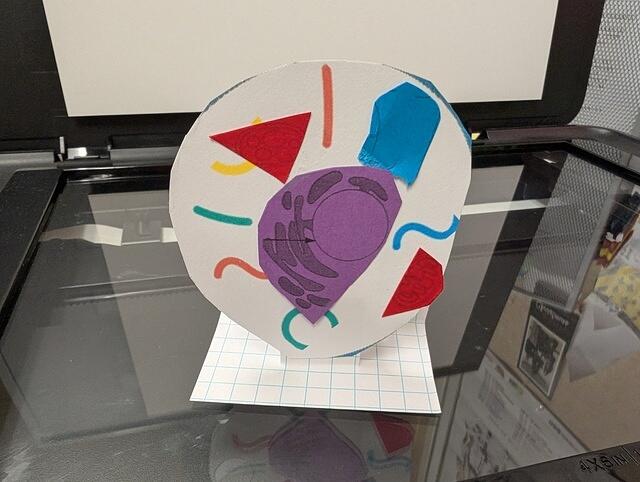 PXL 20250828 160454538