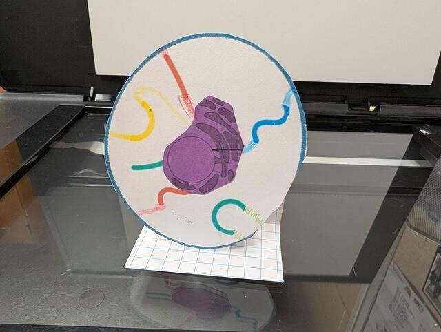 PXL 20250828 160519451