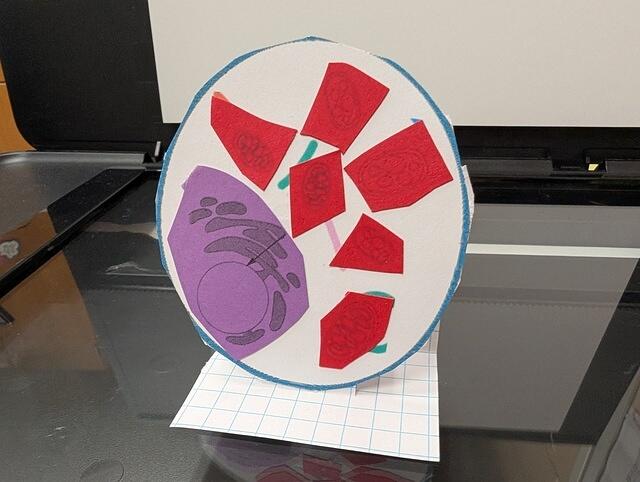 PXL 20250828 160552326