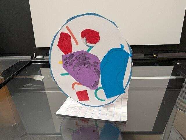 PXL 20250828 160635786