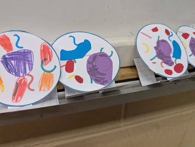 PXL 20250828 174710046