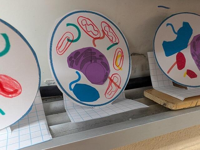 PXL 20250828 174721916