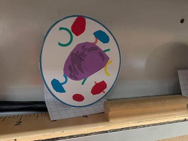 PXL 20250828 174732069