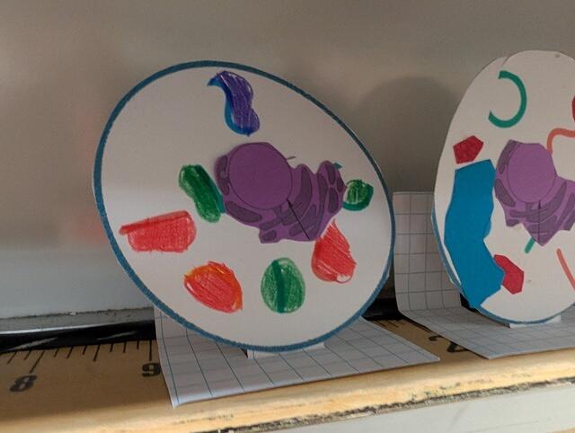 PXL 20250828 174734026