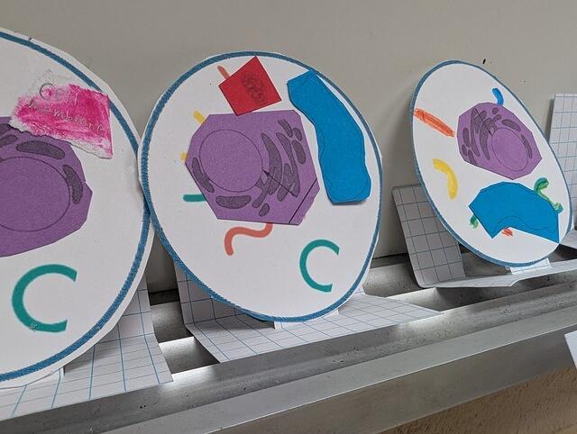 PXL 20250828 174750247