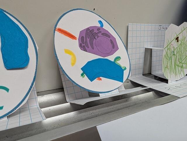 PXL 20250828 174752083