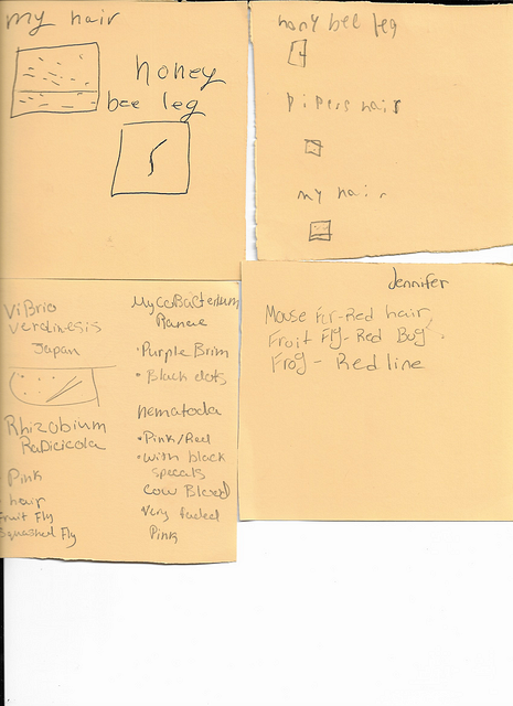 Scan 20250815 (10)