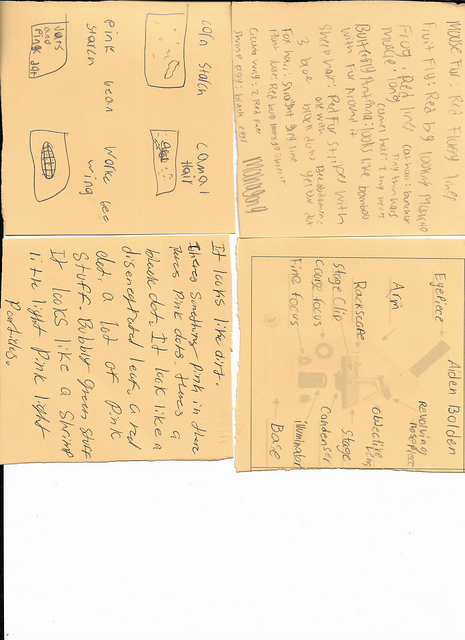 Scan 20250815 (15)