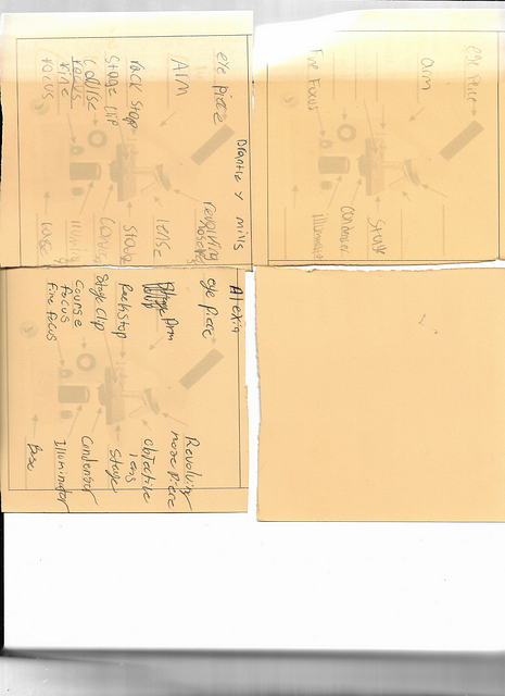 Scan 20250815 (16)