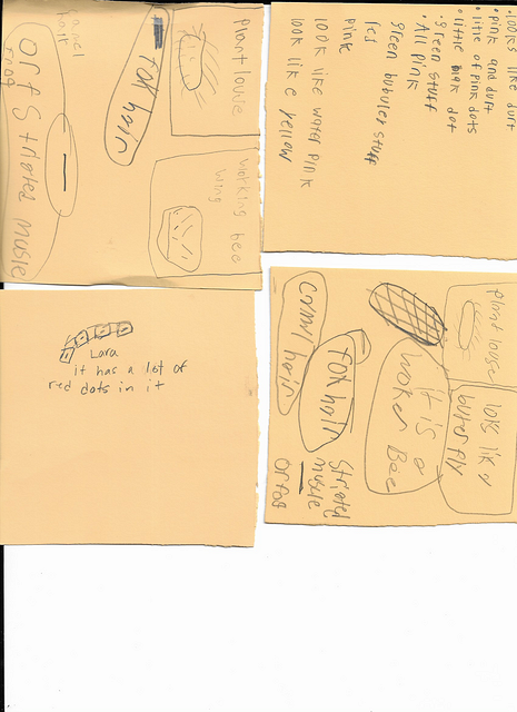 Scan 20250815 (19)