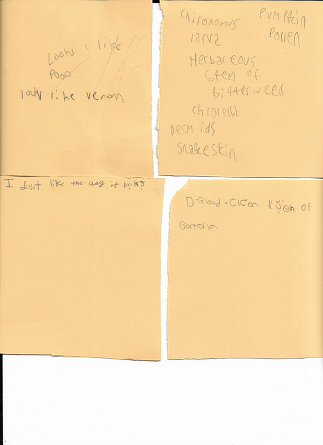 Scan 20250815 (3)