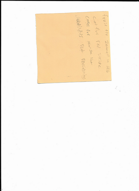 Scan 20250815 (7)