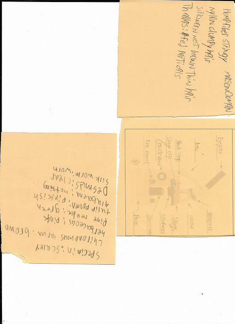 Scan 20250815