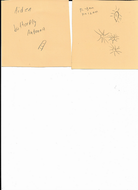 Scan 20250818