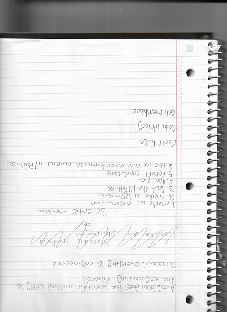 Scan 20250811 (19)