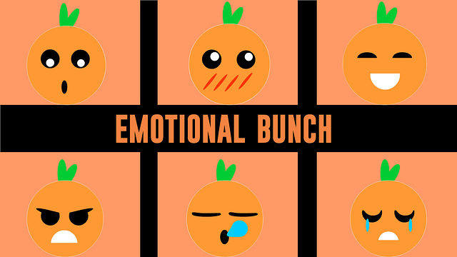 Valeria A Emotional Bunch