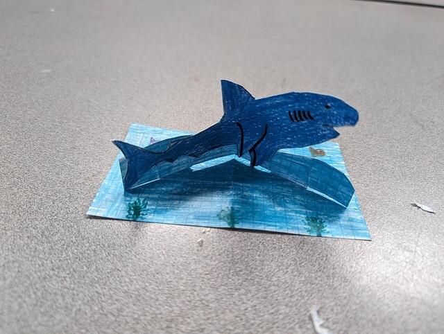 PXL 20240223 152006088