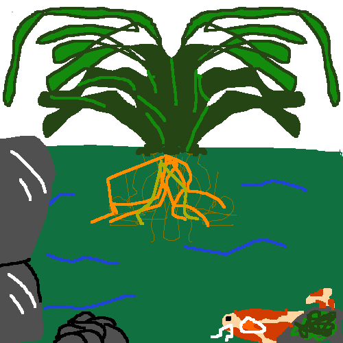 georigia