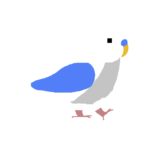Shara Mae Parakeet Jump