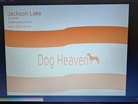 PXL 20250822 162916834