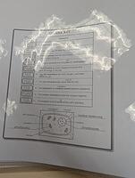 PXL 20250804 140426514