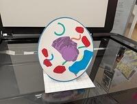 PXL 20250828 160321835