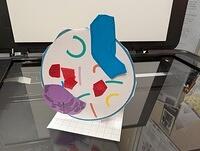 PXL 20250828 160507061