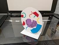 PXL 20250828 160526288