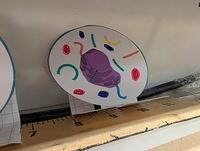 PXL 20250828 174740120