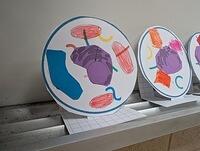 PXL 20250828 174745932