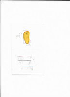 Scan 20250812 (11)