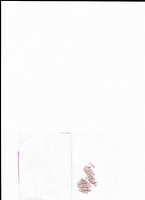 Scan 20250812 (22)