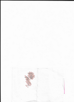 Scan 20250812 (25)