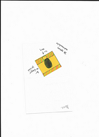 Scan 20250812 (15)