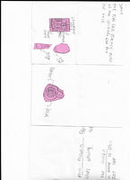 Scan 20250812 (34)
