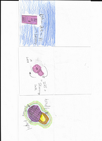 Scan 20250812 (35)