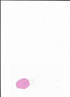 Scan 20250812 (17)