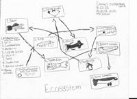 EcosystemDiagrams