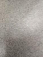 PXL 20250808 173031019