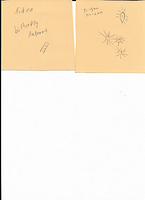 Scan 20250818