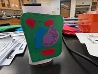 Plant_Cell_Visualizations
