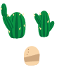 Extra-39