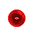 pixil-frame-0 (5)